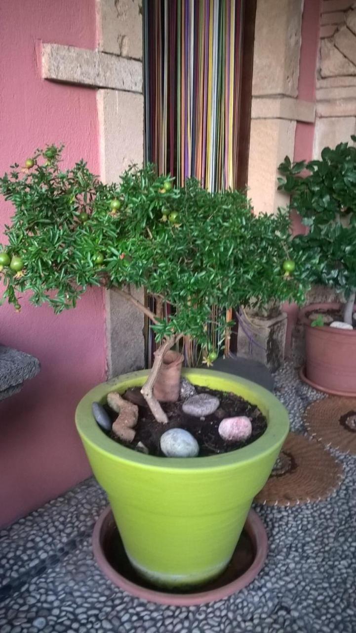 Agriturismo Il Melograno Ріола-Сардо Екстер'єр фото