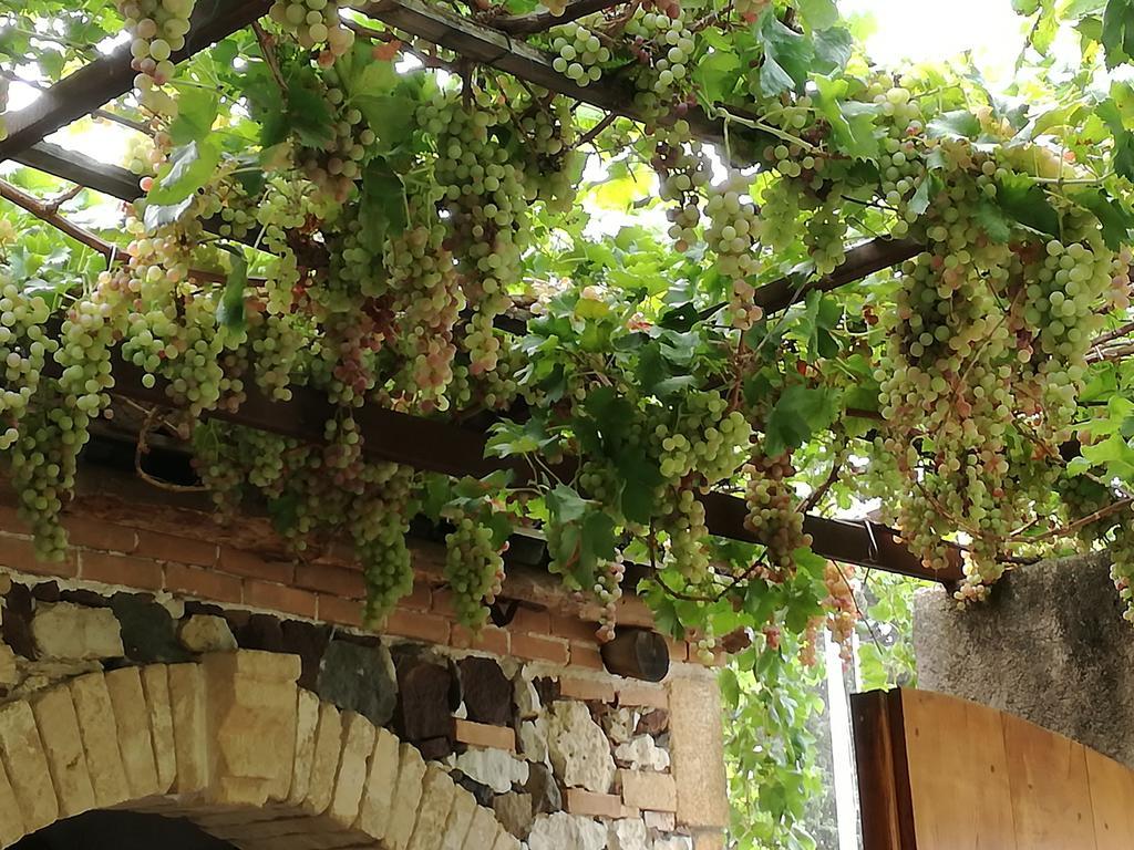 Agriturismo Il Melograno Ріола-Сардо Екстер'єр фото