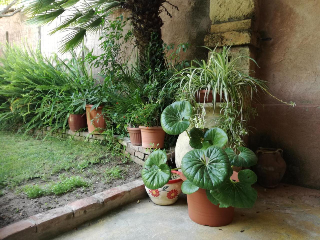 Agriturismo Il Melograno Ріола-Сардо Екстер'єр фото